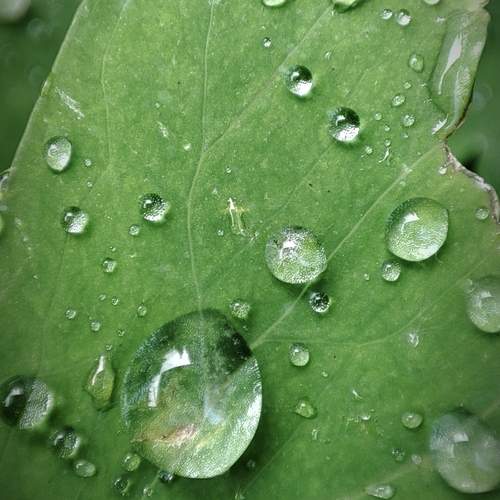 Photo #13277226