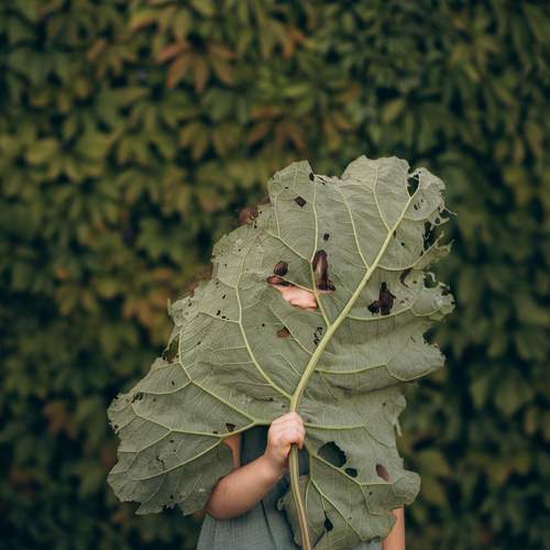 Photo #13277543