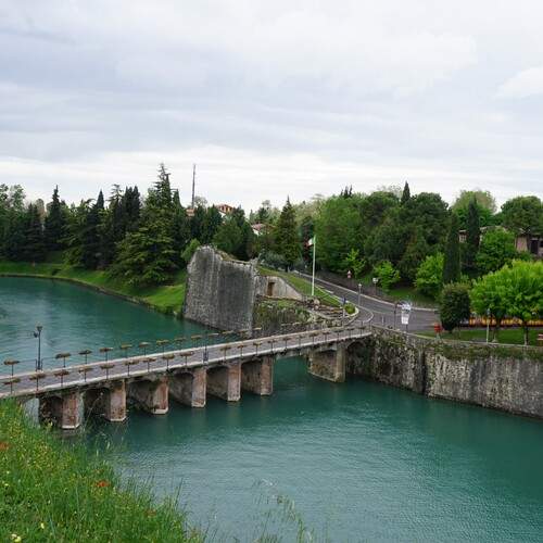 Photo #13277568