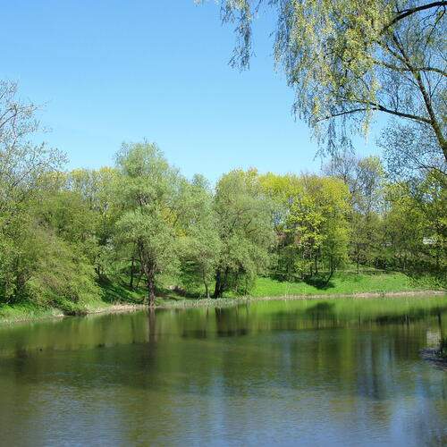 Photo #13277641