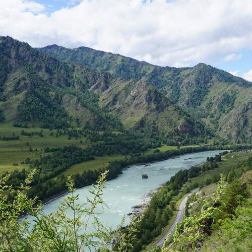 Photo #13277647