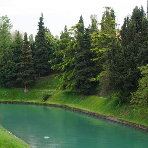 Photo #13277649