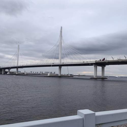 Photo #13277664