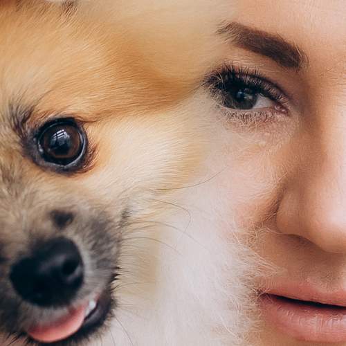 Photo #13277743