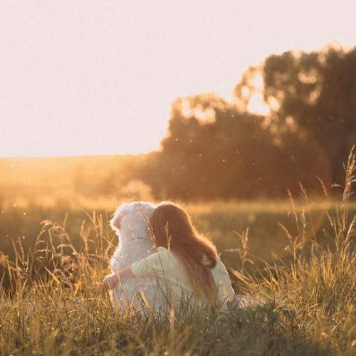 Photo #13277760