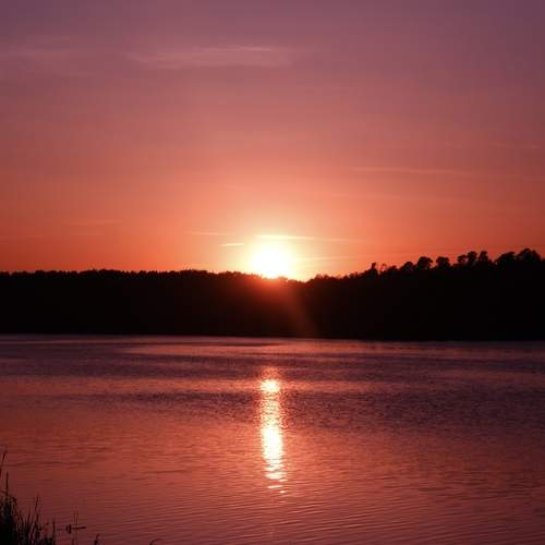 Photo #13277767