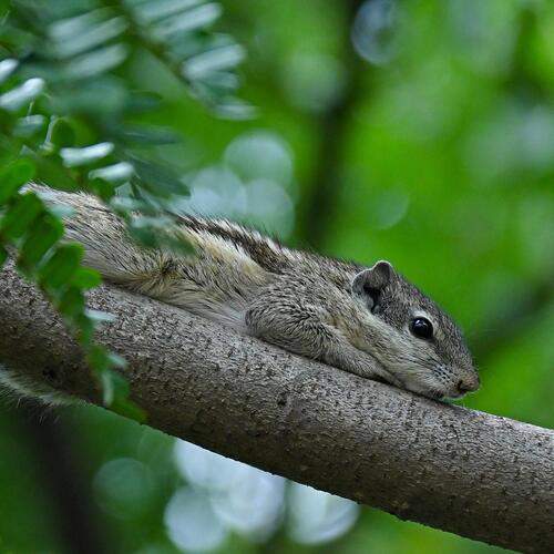 Photo #13278057