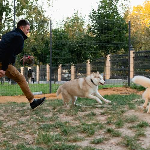 Photo #13278106