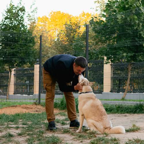 Photo #13278107