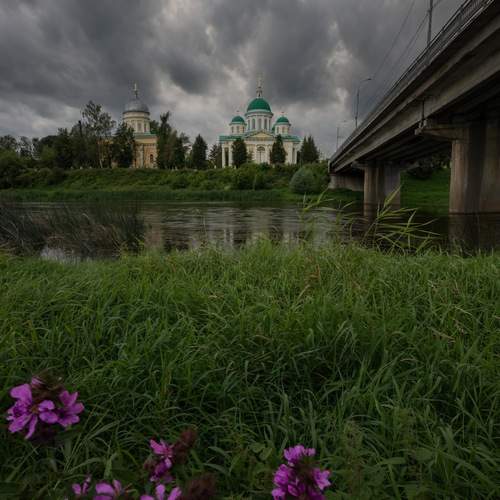 Photo #13278256