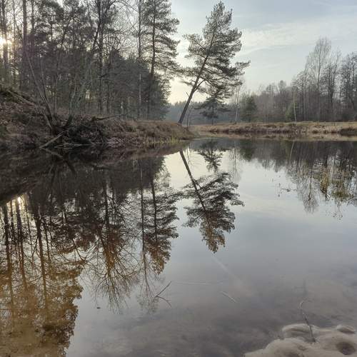 Photo #13278281