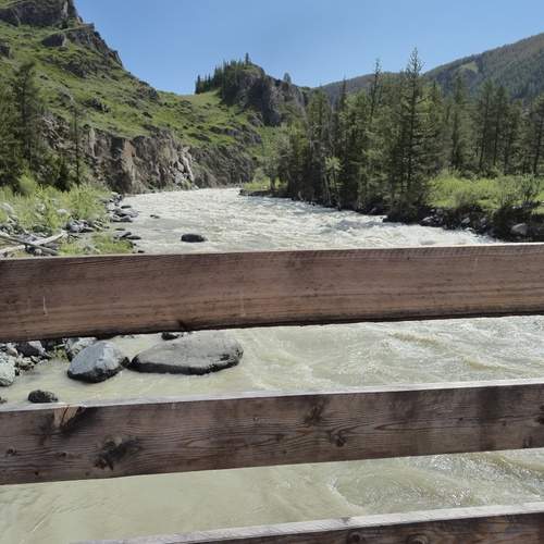 Photo #13278302
