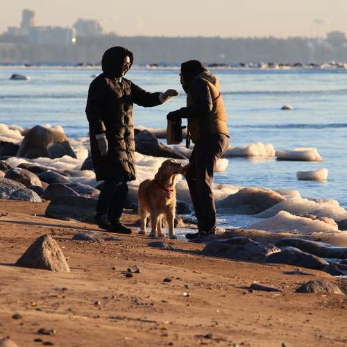 Photo #13278350
