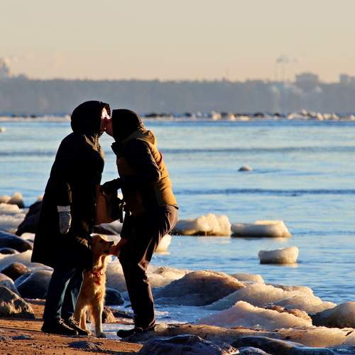 Photo #13278358