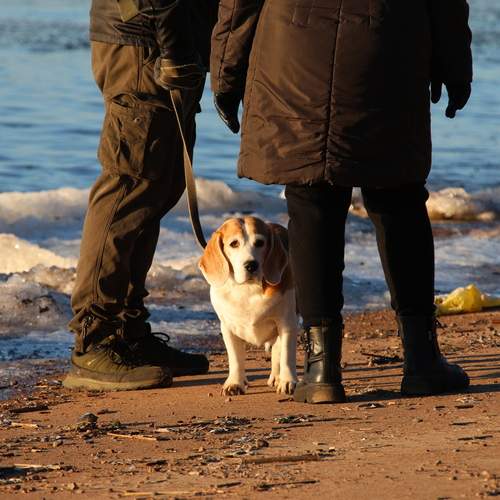 Photo #13278393