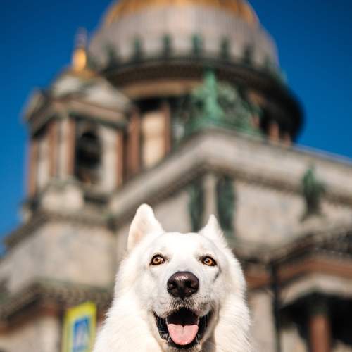 Photo #13278396