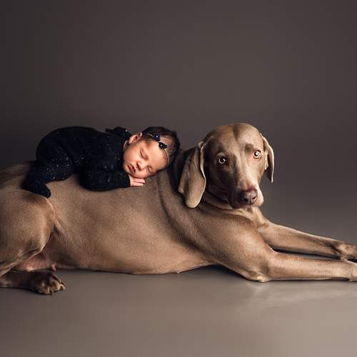 Photo #13278449