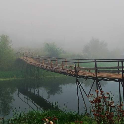 Photo #13278507