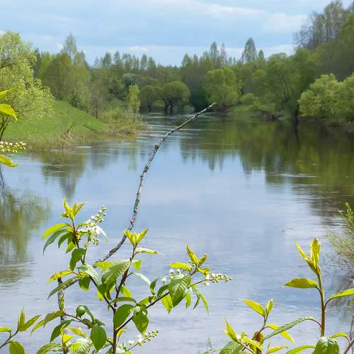 Фотография #13278685