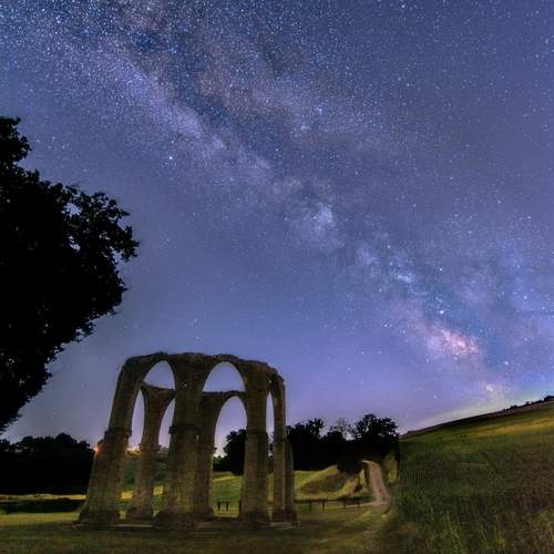 Photo #13278756