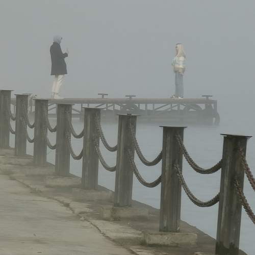 Photo #13278763