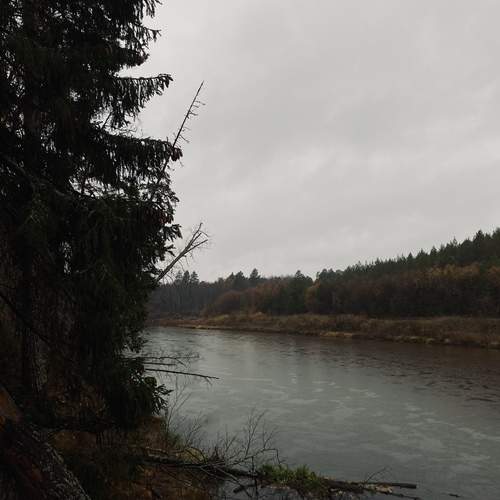 Photo #13278807