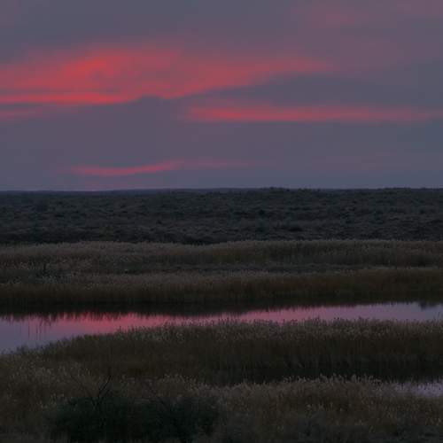 Photo #13278834