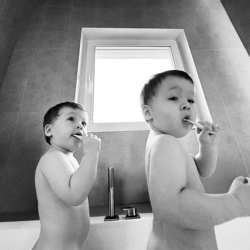 Photo #13278843