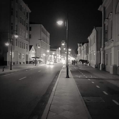 Photo #13278872
