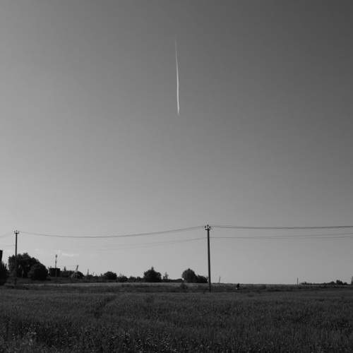 Photo #13278972