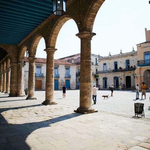Photo #13279035