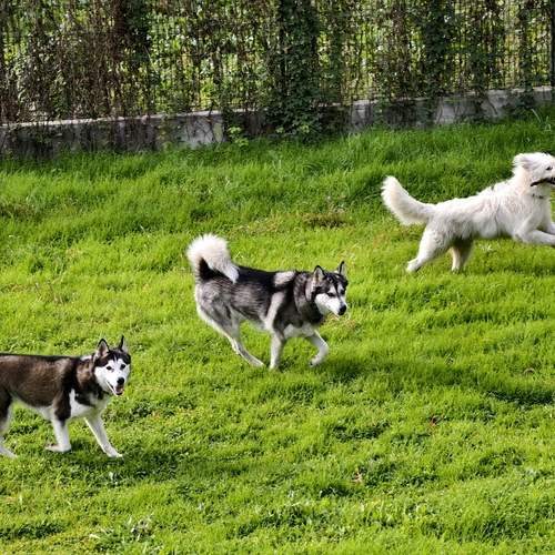 Photo #13279073
