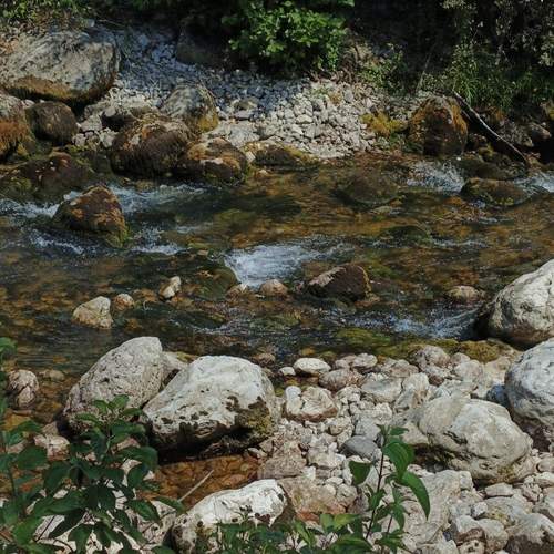 Photo #13279075