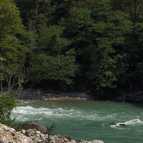 Photo #13279082