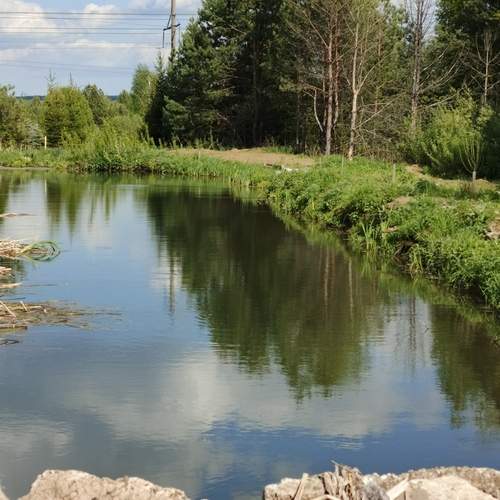 Photo #13279106