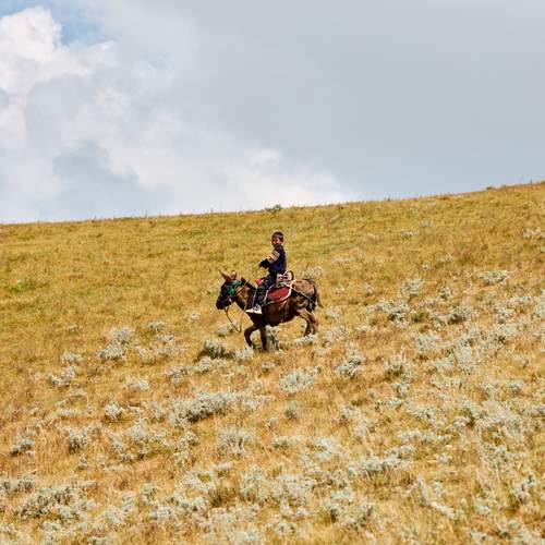 Photo #13279121
