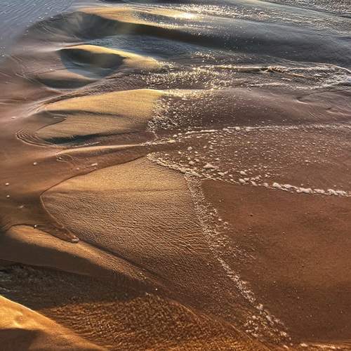 Photo #13279451