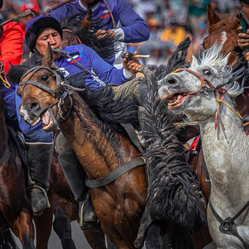 Фотография #13279500