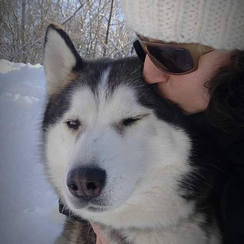 Photo #13279536