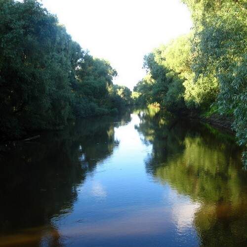 Photo #13279540