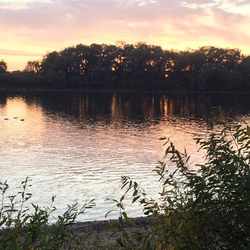 Photo #13279541