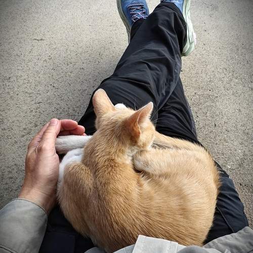 Photo #13279559