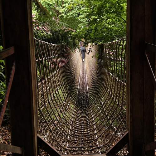 Photo #13279639