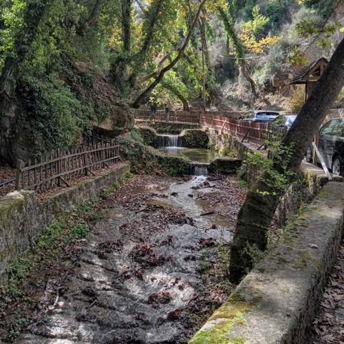 Photo #13279672