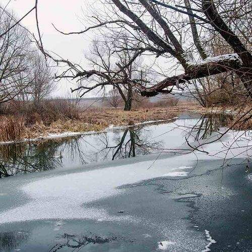Первый лёд