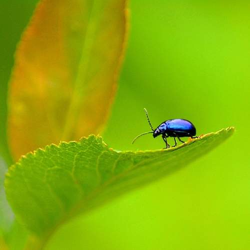 Photo #13279799
