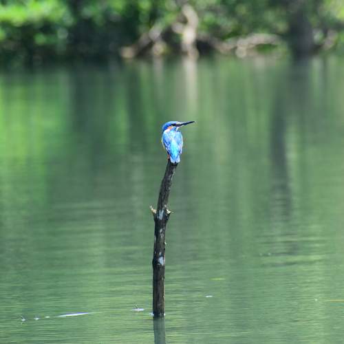 Photo #13280042