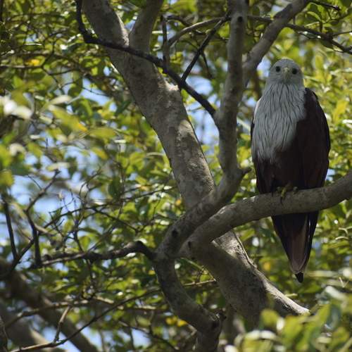 Photo #13280051