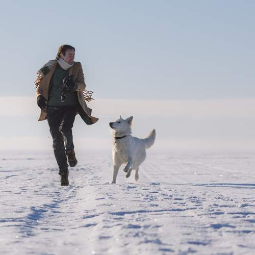 Photo #13280072
