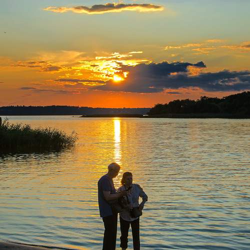 Photo #13280101